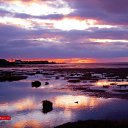 ���� ���������, ������, 61 ��� - ��������� 1 ��� 2012