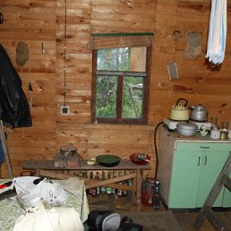 ���� Anna, ��������, 71 ��� - ��������� 15 ������ 2013