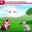 ���� ����������, �����, 24 ���� - ��������� 12 ��� 2011 � ������ �PetLove�