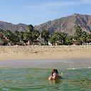   2013 . ...                 - 2013