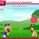 ���� ���, �����-���������, 35 ��� - ��������� 31 ������� 2010 � ������ �PetLove�