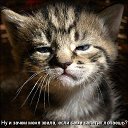 ���� ����, �����, 50 ��� - ��������� 15 ���� 2010 � ������ ������������