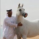 ���� Roma -Yakob, ������, 58 ��� - ��������� 20 ����� 2012