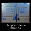 ���� ����(�/�), ��������� - ��������� 22 ����� 2013 � ������ �������ۻ