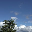 ���� ������, �����-���������, 63 ���� - ��������� 12 ������� 2012 � ������ ���� ����������