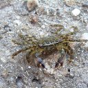 ���� ����, �������, 42 ���� - ��������� 19 ������� 2012 � ������ �������