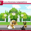  , , 24  -  19  2010   PetLove