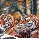 ���� ����� - ���������� ��������!!!, �����������, 56 ��� - ��������� 14 ������� 2009 � ������ ���������� �������Ż