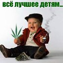 ���� �����, ������, 48 ��� - ��������� 8 ������ 2013 � ������ ���� ����������