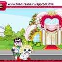  , , 46  -  16  2011   PetLove