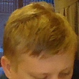 ����, ������-���, 47 ���