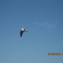 �� �����.. �� ������� ��������