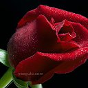 ���� @@�@@, ��������� - ��������� 26 ������� 2011 � ������ �""�