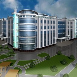 �����, �������, 43 ����