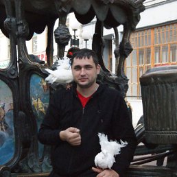 ���� �������, ������, 44 ���� - ��������� 19 ���� 2012