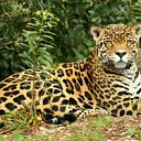 ���� Viktr, �������, 26 ��� - ��������� 5 ������� 2012