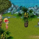 ���� �����, ������ - ��������� 17 ����� 2013 � ������ �Tropikania�