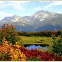 ���� �������, �������, 44 ���� - ��������� 15 ����� 2010 � ������ ����� ������� - ���������!!!�