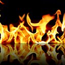 ���� �������, ���������, 35 ��� - ��������� 18 ������� 2009 � ������ ���������