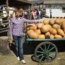 ���� Max, �������, 34 ���� - ��������� 27 ������� 2012 � ������ ���� ����������