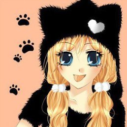 Shinshilla, �����-���������, 23 ����