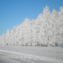 ���� ������, ������, 41 ��� - ��������� 14 ������ 2011