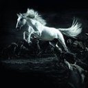 ���� �����, �������� - ��������� 7 ���� 2013 � ������ ��������� ���� � fotiko.ru�