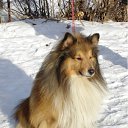 ���� ����, ������, 58 ��� - ��������� 17 ������� 2012 � ������ ���� ����������