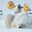 ���� ������, �������, 40 ��� - ��������� 13 ������� 2009 � ������ ����������� ��������, ������� ����������