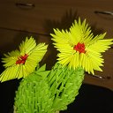 ���� �����, �������������, 25 ��� - ��������� 27 ���� 2013 � ������ ���� ������.�