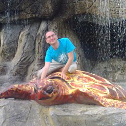 ���� ��������, ������-��-����, 47 ��� - ��������� 2 ������� 2010