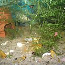 ���� ����, ������ - ��������� 22 ������� 2012 � ������ ���� ��������� �� ���������� �����!!!�