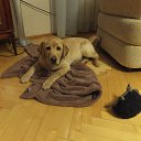 ���� 7 �������. �� ������� ���� ����������