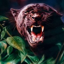 ���� ~ Lost_emerald, ������, 36 ��� - ��������� 17 ���� 2010