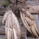 ���� ��������, ��������, 56 ��� - ��������� 14 ������ 2011 � ������ ���� ����������