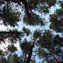 ���� Tanechka, ��������� - ��������� 16 ���� 2012 � ������ ����� �������