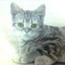 ���� Mischarin_87!!!, ���������, 38 ��� - ��������� 22 ������ 2010 � ������ �������