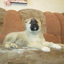 ���� ������@, �����������, 21 ��� - ��������� 14 ������ 2012