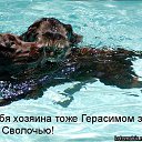 ���� ��������, ������������, 49 ��� - ��������� 24 ����� 2011 � ������ ���������