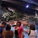 ���� ����, �������, 57 ��� - ��������� 27 ��� 2012 � ������ �Walk into the Sea life centre�