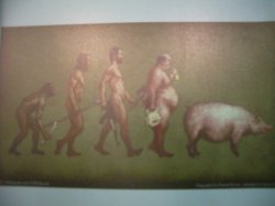  , , 59  -  23  2012