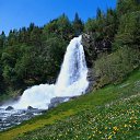 ���� �������, �����-���������, 44 ���� - ��������� 17 ������ 2010