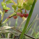 ���� �����.....����., �������, 43 ���� - ��������� 28 ������ 2011 � ������ ���� ����������