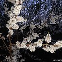 �� ����� �� ������� �������