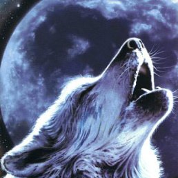 ���� 111, ������������, 34 ���� - ��������� 5 ������ 2012