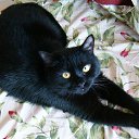 ���� Aleksandr:), �����������-��-�����, 54 ���� - ��������� 17 ���� 2010 � ������ ����� � ������