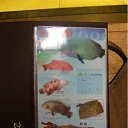  . .,  -  10  2012   ___ջ