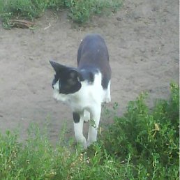 ���� ������, ����� - ��������� 29 ���� 2011