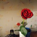 ���� �����, �������� - ��������� 23 ������ 2012 � ������ �Foto Sympathy�