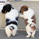 ���� �������, ���������, 42 ���� - ��������� 2 �������� 2012 � ������ �������